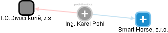  Ing. Karel Pohl - Vizualizace  propojení osoby a firem v obchodním rejstříku