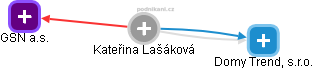 Kateřina Lašáková - Vizualizace  propojení osoby a firem v obchodním rejstříku