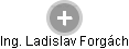 Ladislav Forgách - Vizualizace  propojení osoby a firem v obchodním rejstříku