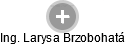 Larysa Brzobohatá - Vizualizace  propojení osoby a firem v obchodním rejstříku
