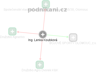 Lenka Koubková - Vizualizace  propojení osoby a firem v obchodním rejstříku