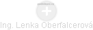 Lenka Oberfalcerová - Vizualizace  propojení osoby a firem v obchodním rejstříku