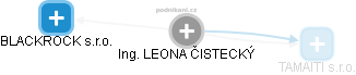  Leona Č. - Vizualizace  propojení osoby a firem v obchodním rejstříku