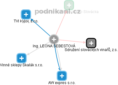 LEONA ŠEBESTOVÁ - Vizualizace  propojení osoby a firem v obchodním rejstříku