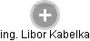 Libor Kabelka - Vizualizace  propojení osoby a firem v obchodním rejstříku