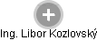 Libor Kozlovský - Vizualizace  propojení osoby a firem v obchodním rejstříku