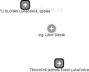 Libor Slezák - Vizualizace  propojení osoby a firem v obchodním rejstříku