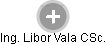 Libor Vala - Vizualizace  propojení osoby a firem v obchodním rejstříku