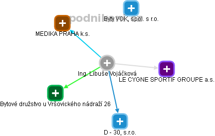 Libuše Vojáčková - Vizualizace  propojení osoby a firem v obchodním rejstříku