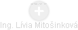 Lívia Mitošinková - Vizualizace  propojení osoby a firem v obchodním rejstříku