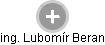  Lubomír B. - Vizualizace  propojení osoby a firem v obchodním rejstříku