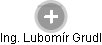 Lubomír Grudl - Vizualizace  propojení osoby a firem v obchodním rejstříku