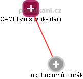 Lubomír Hořák - Vizualizace  propojení osoby a firem v obchodním rejstříku