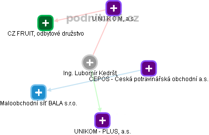 Lubomír Kedršt - Vizualizace  propojení osoby a firem v obchodním rejstříku