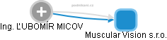 ĽUBOMÍR MICOV - Vizualizace  propojení osoby a firem v obchodním rejstříku