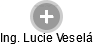  Lucie V. - Vizualizace  propojení osoby a firem v obchodním rejstříku