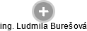  Ludmila B. - Vizualizace  propojení osoby a firem v obchodním rejstříku