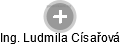 Ludmila C. - Vizualizace  propojení osoby a firem v obchodním rejstříku