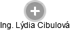 Lýdia Cibulová - Vizualizace  propojení osoby a firem v obchodním rejstříku