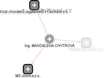 MAGDALENA CHYTROVÁ - Vizualizace  propojení osoby a firem v obchodním rejstříku