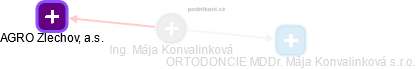 Mája Konvalinková - Vizualizace  propojení osoby a firem v obchodním rejstříku