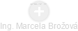  Marcela B. - Vizualizace  propojení osoby a firem v obchodním rejstříku