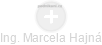  Marcela H. - Vizualizace  propojení osoby a firem v obchodním rejstříku