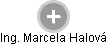 Marcela Halová - Vizualizace  propojení osoby a firem v obchodním rejstříku