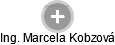  Marcela K. - Vizualizace  propojení osoby a firem v obchodním rejstříku