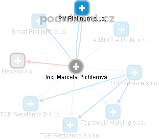 Marcela Pichlerová - Vizualizace  propojení osoby a firem v obchodním rejstříku