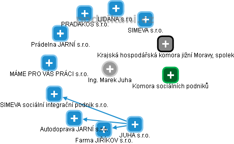 Marek Juha - Vizualizace  propojení osoby a firem v obchodním rejstříku
