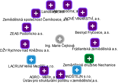  Marie Č. - Vizualizace  propojení osoby a firem v obchodním rejstříku