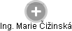  Marie Č. - Vizualizace  propojení osoby a firem v obchodním rejstříku