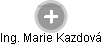  Marie N. - Vizualizace  propojení osoby a firem v obchodním rejstříku