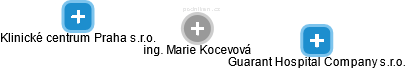 Marie Kocevová - Vizualizace  propojení osoby a firem v obchodním rejstříku