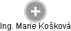 Marie Košková - Vizualizace  propojení osoby a firem v obchodním rejstříku