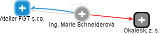 Marie Schneiderová - Vizualizace  propojení osoby a firem v obchodním rejstříku