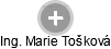 Marie Tošková - Vizualizace  propojení osoby a firem v obchodním rejstříku