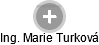  Marie T. - Vizualizace  propojení osoby a firem v obchodním rejstříku