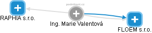 Marie Valentová - Vizualizace  propojení osoby a firem v obchodním rejstříku