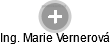 Marie Vernerová - Vizualizace  propojení osoby a firem v obchodním rejstříku