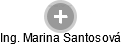 Marina Santosová - Vizualizace  propojení osoby a firem v obchodním rejstříku