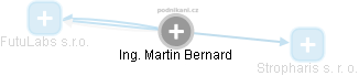 Martin Bernard - Vizualizace  propojení osoby a firem v obchodním rejstříku