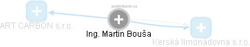 Martin Bouša - Vizualizace  propojení osoby a firem v obchodním rejstříku