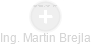 Martin Brejla - Vizualizace  propojení osoby a firem v obchodním rejstříku