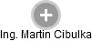 Martin Cibulka - Vizualizace  propojení osoby a firem v obchodním rejstříku