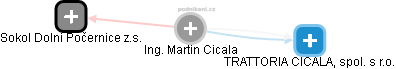 Martin Cicala - Vizualizace  propojení osoby a firem v obchodním rejstříku