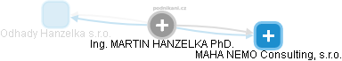 MARTIN HANZELKA - Vizualizace  propojení osoby a firem v obchodním rejstříku