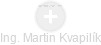 Martin Kvapilík - Vizualizace  propojení osoby a firem v obchodním rejstříku