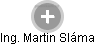  Martin S. - Vizualizace  propojení osoby a firem v obchodním rejstříku